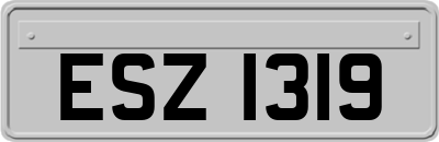 ESZ1319