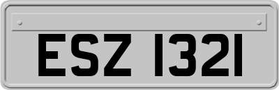 ESZ1321