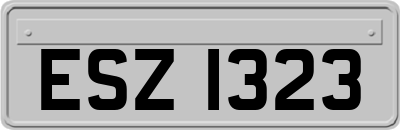 ESZ1323