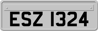 ESZ1324