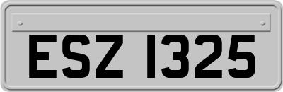 ESZ1325