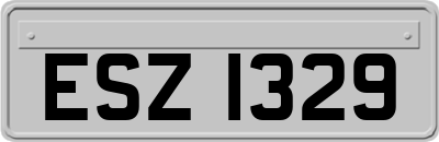 ESZ1329