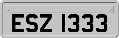 ESZ1333