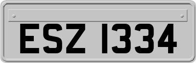 ESZ1334