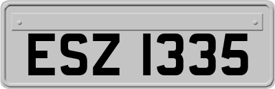 ESZ1335