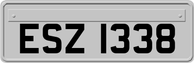 ESZ1338