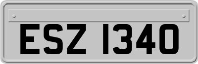 ESZ1340