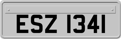 ESZ1341