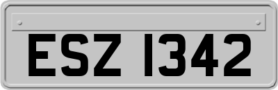 ESZ1342