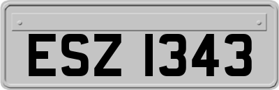 ESZ1343