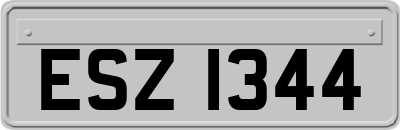 ESZ1344