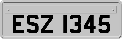 ESZ1345
