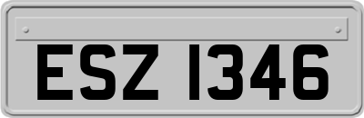 ESZ1346