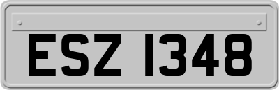 ESZ1348