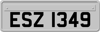ESZ1349