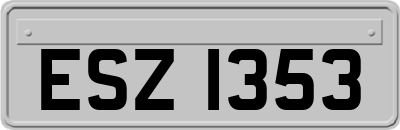 ESZ1353