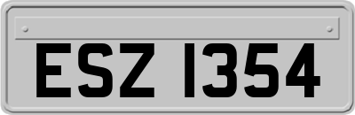ESZ1354
