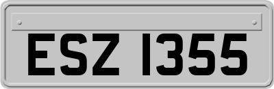 ESZ1355