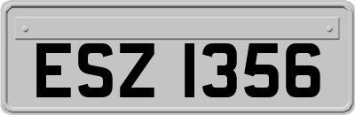ESZ1356