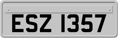 ESZ1357