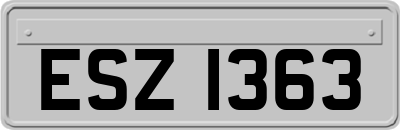 ESZ1363