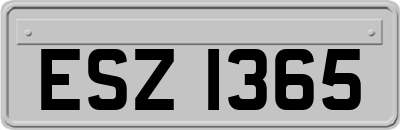 ESZ1365