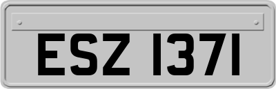 ESZ1371