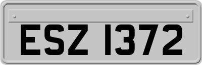 ESZ1372