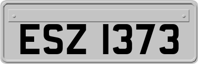 ESZ1373