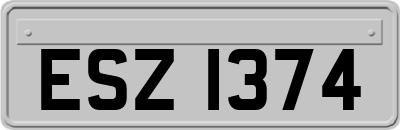 ESZ1374