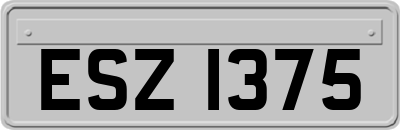 ESZ1375