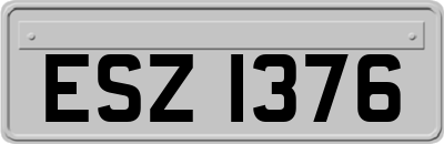 ESZ1376