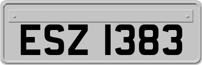 ESZ1383