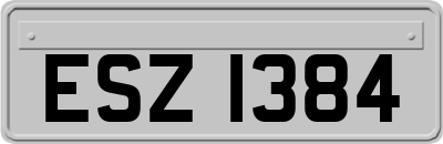 ESZ1384