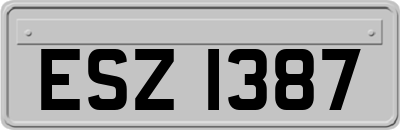 ESZ1387
