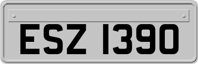 ESZ1390