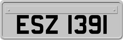 ESZ1391