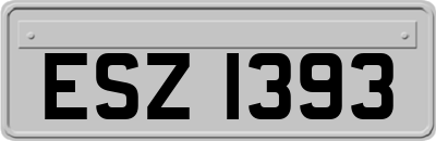 ESZ1393