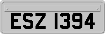 ESZ1394