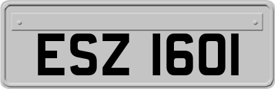 ESZ1601