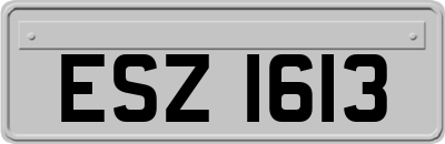 ESZ1613
