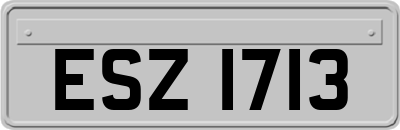 ESZ1713