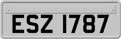 ESZ1787