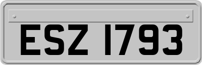ESZ1793