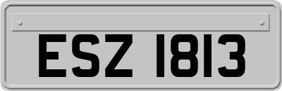 ESZ1813