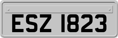 ESZ1823