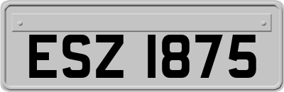 ESZ1875