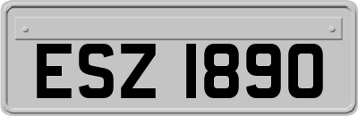 ESZ1890
