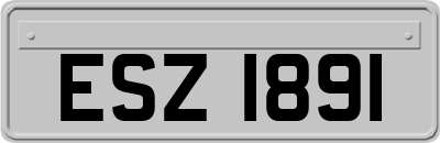 ESZ1891
