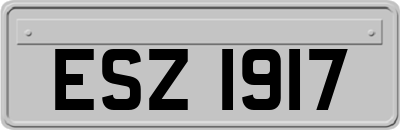 ESZ1917